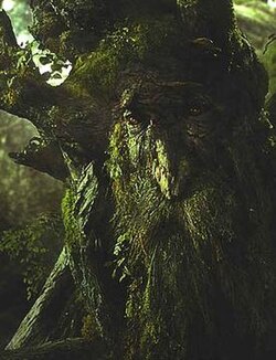 Treebeard Blank Meme Template
