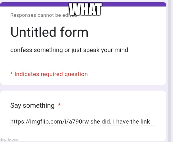 WHAT | made w/ Imgflip meme maker