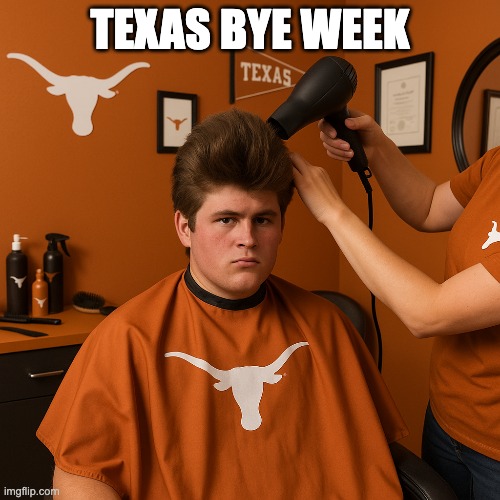 TEXAS BYE WEEK | image tagged in texas | made w/ Imgflip meme maker