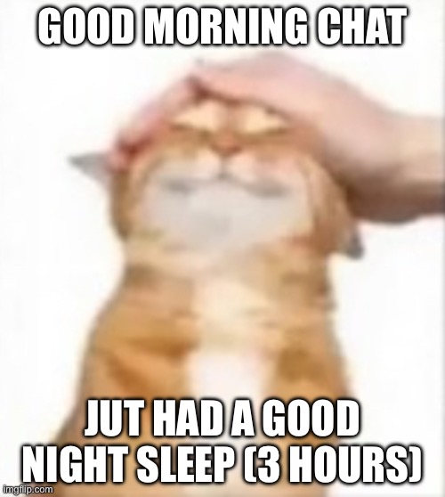 Cat being petted | GOOD MORNING CHAT; JUT HAD A GOOD NIGHT SLEEP (3 HOURS) | image tagged in cat being petted | made w/ Imgflip meme maker