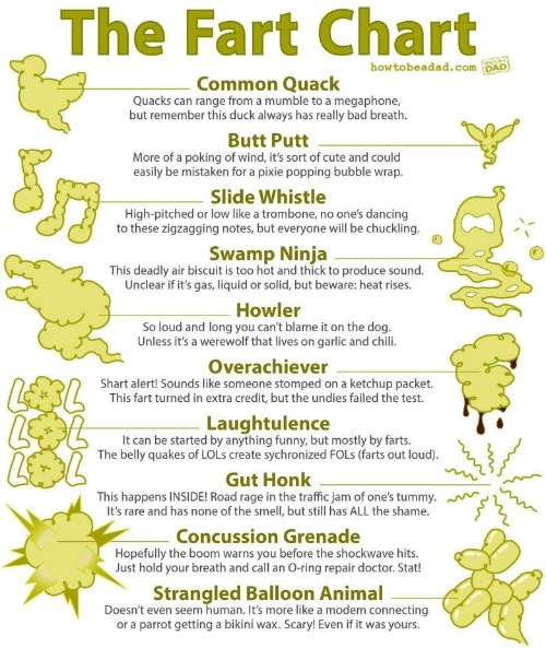 The Fart Chart | image tagged in farts,charts,funny,hilarious,potty humor,bathroom humor | made w/ Imgflip meme maker