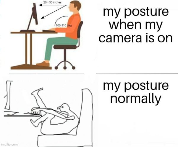posture | image tagged in posture | made w/ Imgflip meme maker