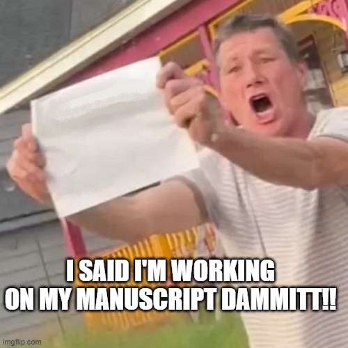Crazy Doctoral Student | I SAID I'M WORKING ON MY MANUSCRIPT DAMMITT!! | image tagged in crazy paper guy,grad school,phd,dissertation | made w/ Imgflip meme maker