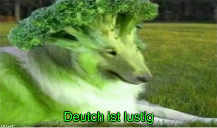 Broco dogo | Deutch ist lustig | image tagged in broco dogo | made w/ Imgflip meme maker