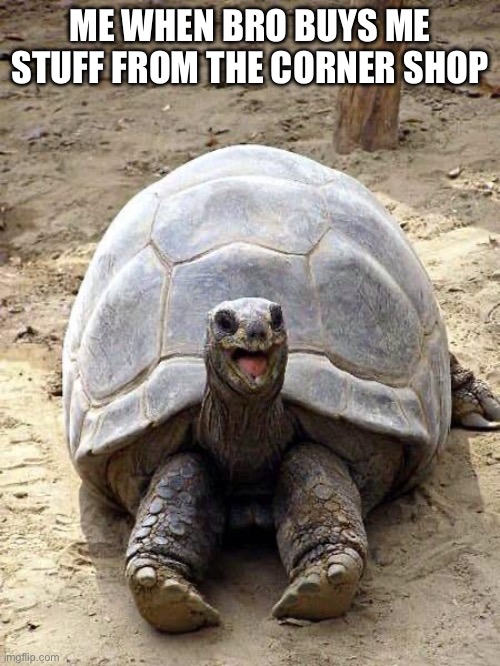 shops | ME WHEN BRO BUYS ME STUFF FROM THE CORNER SHOP | image tagged in smiling happy excited tortoise | made w/ Imgflip meme maker
