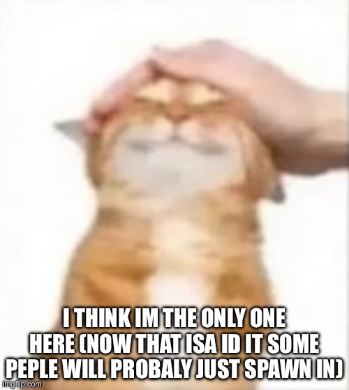 Cat being petted | I THINK IM THE ONLY ONE HERE (NOW THAT ISA ID IT SOME PEPLE WILL PROBALY JUST SPAWN IN) | image tagged in cat being petted | made w/ Imgflip meme maker