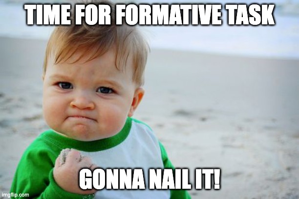 Formative task | TIME FOR FORMATIVE TASK; GONNA NAIL IT! | image tagged in memes,success kid original | made w/ Imgflip meme maker