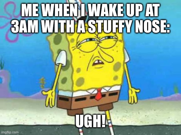 it sucks | ME WHEN I WAKE UP AT 3AM WITH A STUFFY NOSE:; UGH! | image tagged in who put you on the planet,spongebob | made w/ Imgflip meme maker