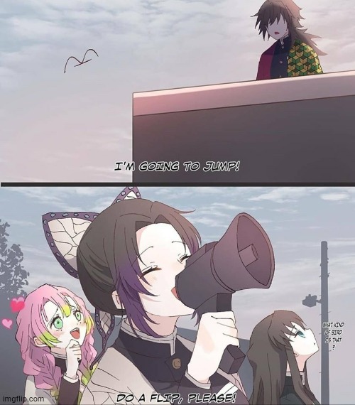 Do a flip please | image tagged in giyuu,shinobu,muichiro,mitsuri | made w/ Imgflip meme maker