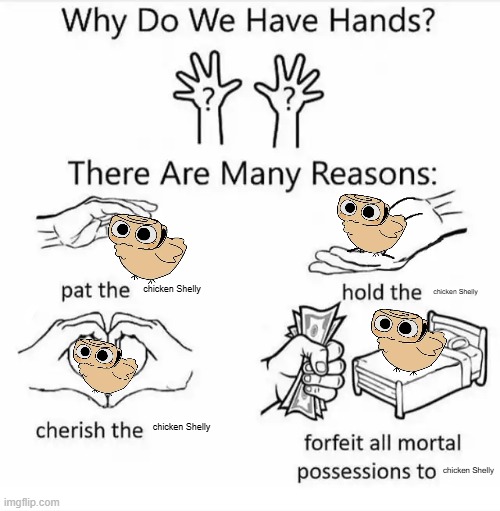 I Believe In Chicken Shelly Supremacy | chicken Shelly; chicken Shelly; chicken Shelly; chicken Shelly | image tagged in why do we have hands all blank | made w/ Imgflip meme maker