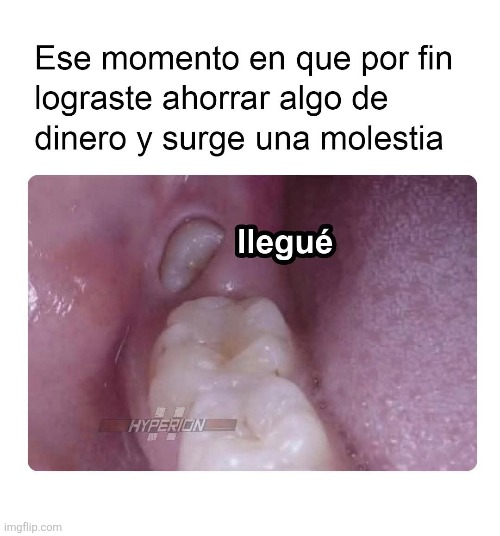 a79y73.jpg