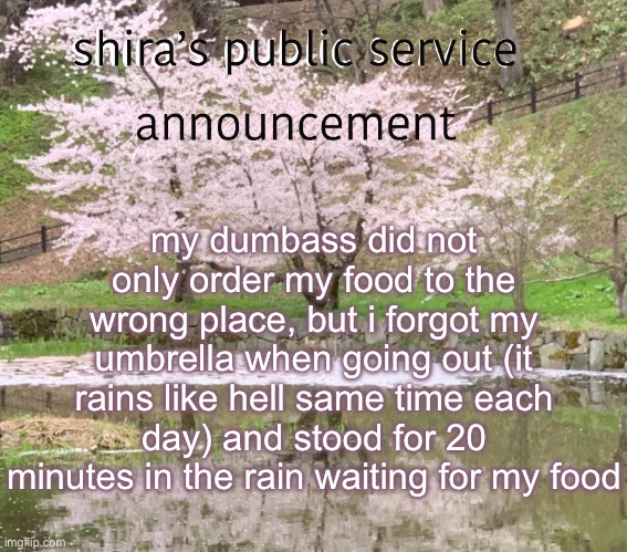 shira’s PSA | my dumbass did not only order my food to the wrong place, but i forgot my umbrella when going out (it rains like hell same time each day) and stood for 20 minutes in the rain waiting for my food | image tagged in shira s psa | made w/ Imgflip meme maker