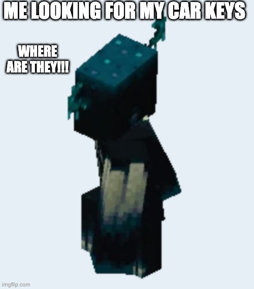 Me looking for keys | ME LOOKING FOR MY CAR KEYS; WHERE ARE THEY!!! | image tagged in warden,keys,missing | made w/ Imgflip meme maker