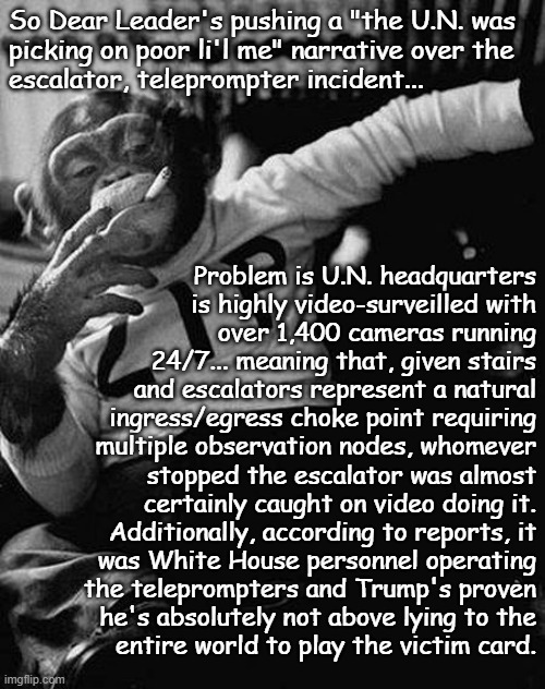 Heaven forfend Dear Leader might actually have to *GASP!!* get a little exercise... | So Dear Leader's pushing a "the U.N. was
picking on poor li'l me" narrative over the
escalator, teleprompter incident... Problem is U.N. headquarters
is highly video-surveilled with
over 1,400 cameras running
24/7... meaning that, given stairs
and escalators represent a natural
ingress/egress choke point requiring
multiple observation nodes, whomever
stopped the escalator was almost
certainly caught on video doing it.
Additionally, according to reports, it
was White House personnel operating
the teleprompters and Trump's proven
he's absolutely not above lying to the
entire world to play the victim card. | image tagged in zip the smoking chimp,prove it,liar,trump unfit unqualified dangerous,fake | made w/ Imgflip meme maker