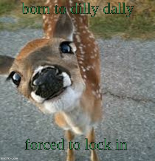 yuh | born to dilly dally; forced to lock in | image tagged in ashercore | made w/ Imgflip meme maker