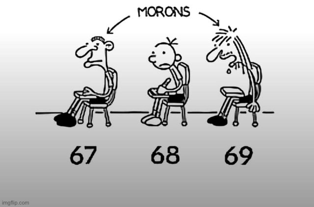 Moronic ritual | image tagged in diary of a wimpy kid,67,69,funny | made w/ Imgflip meme maker