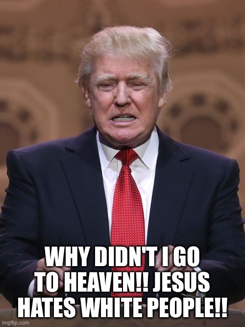 Donald Trump | WHY DIDN'T I GO TO HEAVEN!! JESUS HATES WHITE PEOPLE!! | image tagged in donald trump | made w/ Imgflip meme maker