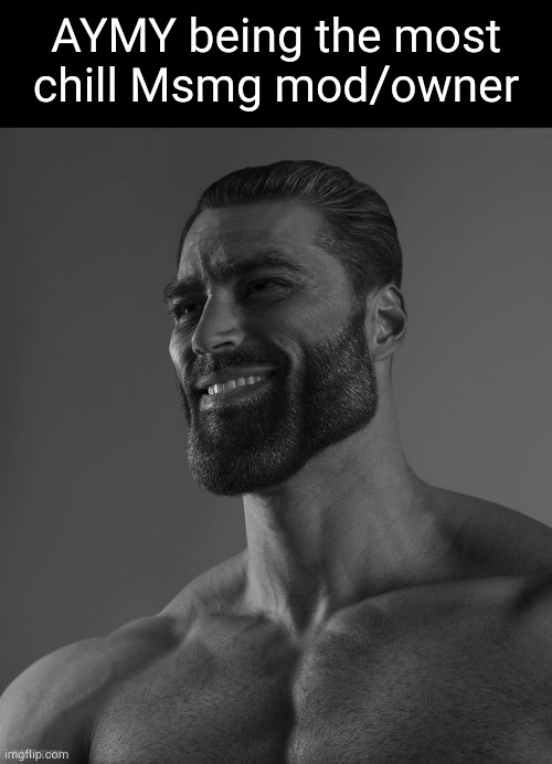 Giga Chad | AYMY being the most chill Msmg mod/owner | image tagged in giga chad | made w/ Imgflip meme maker