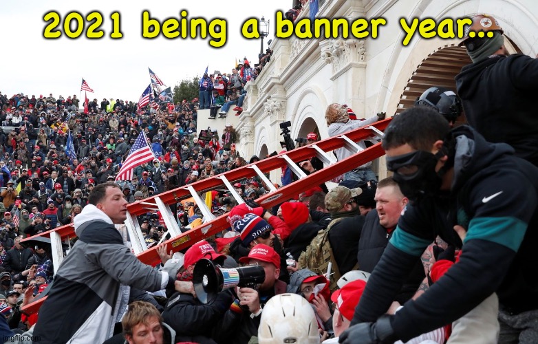 Qanon - Insurrection - Trump riot - sedition | 2021 being a banner year... | image tagged in qanon - insurrection - trump riot - sedition | made w/ Imgflip meme maker
