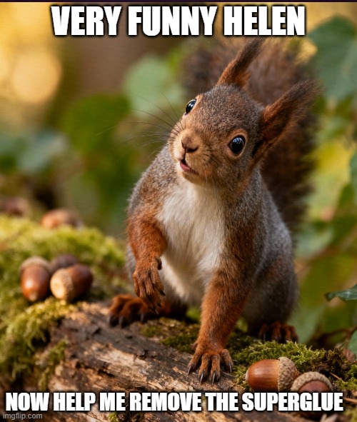 Please release me | VERY FUNNY HELEN; NOW HELP ME REMOVE THE SUPERGLUE | image tagged in super glue,squirrel | made w/ Imgflip meme maker