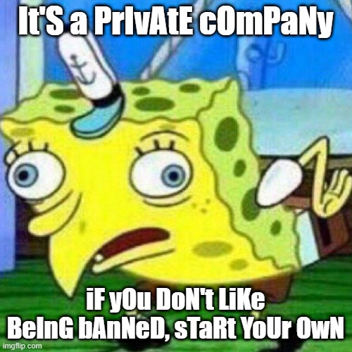 triggerpaul | It'S a PrIvAtE cOmPaNy iF yOu DoN't LiKe BeInG bAnNeD, sTaRt YoUr OwN | image tagged in triggerpaul | made w/ Imgflip meme maker