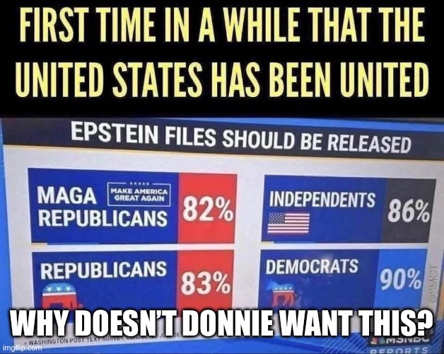 WHY DOESN’T DONNIE WANT THIS? | made w/ Imgflip meme maker