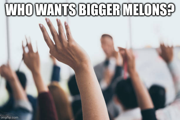 Hands up | WHO WANTS BIGGER MELONS? | image tagged in hands up | made w/ Imgflip meme maker