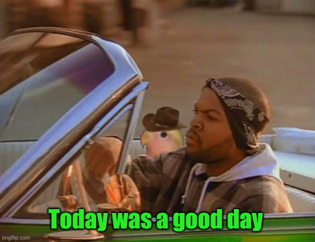 Today was a good day | Today was a good day | image tagged in today was a good day | made w/ Imgflip meme maker
