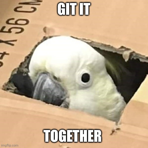 GIT IT; TOGETHER | image tagged in bird,get it | made w/ Imgflip meme maker