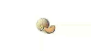 low quality cantaloupe | image tagged in low quality cantaloupe | made w/ Imgflip meme maker