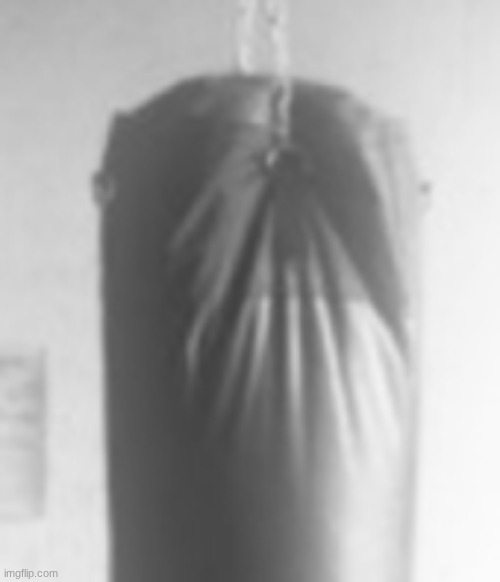 How much did this punching bag suffer? | Imgflip Pain | made w/ Imgflip meme maker