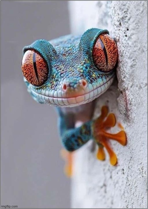 Hello There ! | image tagged in geko,hello there | made w/ Imgflip meme maker