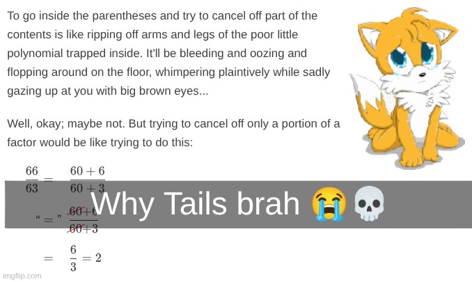 Naw brah | Why Tails brah 😭💀 | image tagged in gaming,tails,memes,dank memes,skull,why are you reading the tags | made w/ Imgflip meme maker