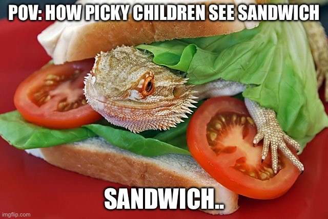 Sandwich... | POV: HOW PICKY CHILDREN SEE SANDWICH; SANDWICH.. | image tagged in fun,funny,meme,sandwich,relatable,animal meme | made w/ Imgflip meme maker