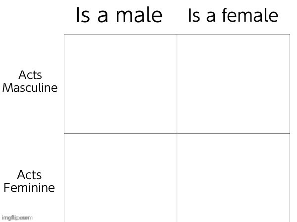 I Feel I'm Shifting Closer To Male These Days But What Do You Think? | image tagged in society doesnt make me wanna be female,much rather have a cock,anyway,which one am i,choose wisely | made w/ Imgflip meme maker
