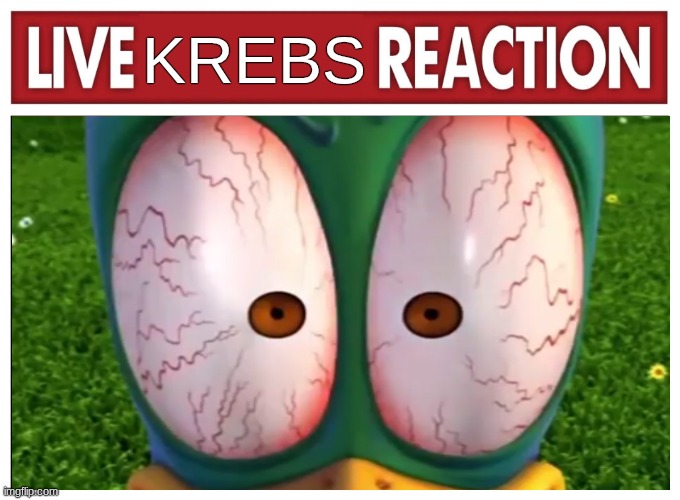 Live reaction | KREBS | image tagged in live reaction | made w/ Imgflip meme maker