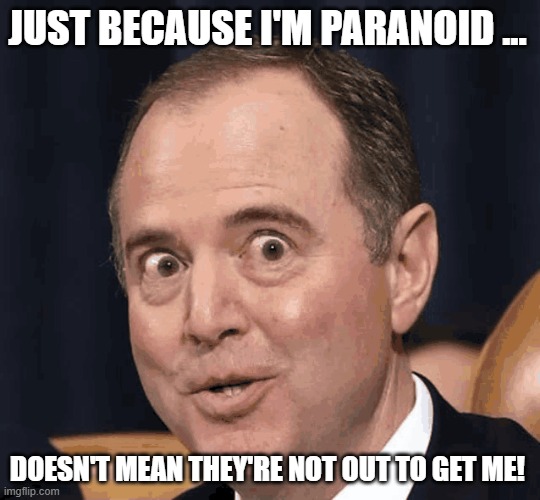 JUST BECAUSE I'M PARANOID ... DOESN'T MEAN THEY'RE NOT OUT TO GET ME! | image tagged in adam schiff | made w/ Imgflip meme maker
