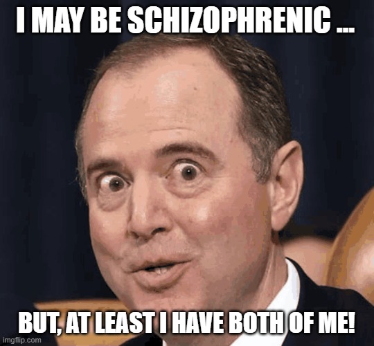 I MAY BE SCHIZOPHRENIC ... BUT, AT LEAST I HAVE BOTH OF ME! | image tagged in adam schiff | made w/ Imgflip meme maker
