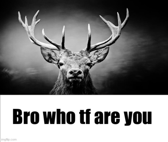 Bro who tf are you (Quaoar) | image tagged in bro who tf are you quaoar | made w/ Imgflip meme maker