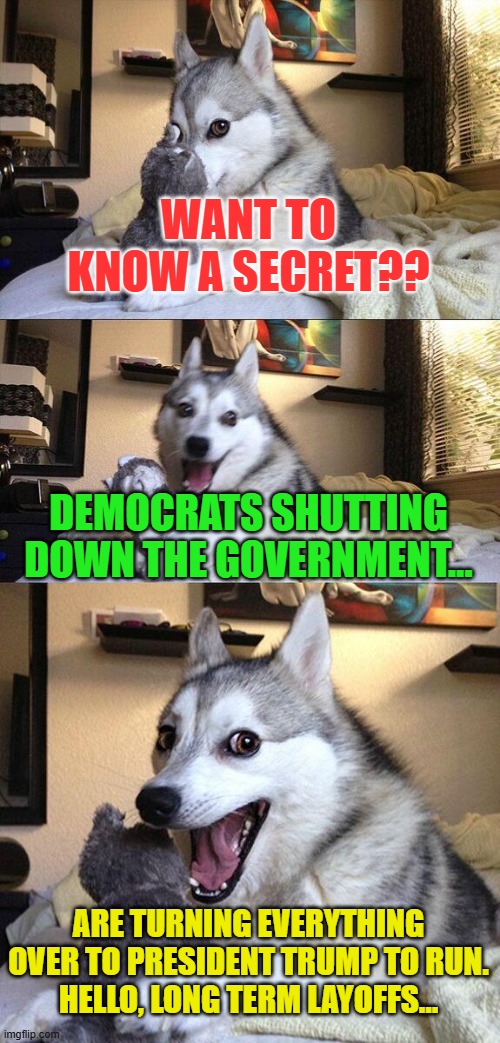 Bad Pun Dog | WANT TO KNOW A SECRET?? DEMOCRATS SHUTTING DOWN THE GOVERNMENT... ARE TURNING EVERYTHING OVER TO PRESIDENT TRUMP TO RUN.
HELLO, LONG TERM LAYOFFS... | image tagged in memes,bad pun dog | made w/ Imgflip meme maker