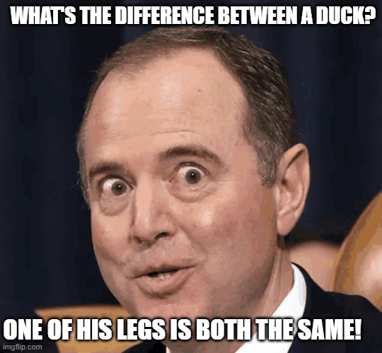 Schiff Nonsense | WHAT'S THE DIFFERENCE BETWEEN A DUCK? ONE OF HIS LEGS IS BOTH THE SAME! | image tagged in crazy thoughts | made w/ Imgflip meme maker