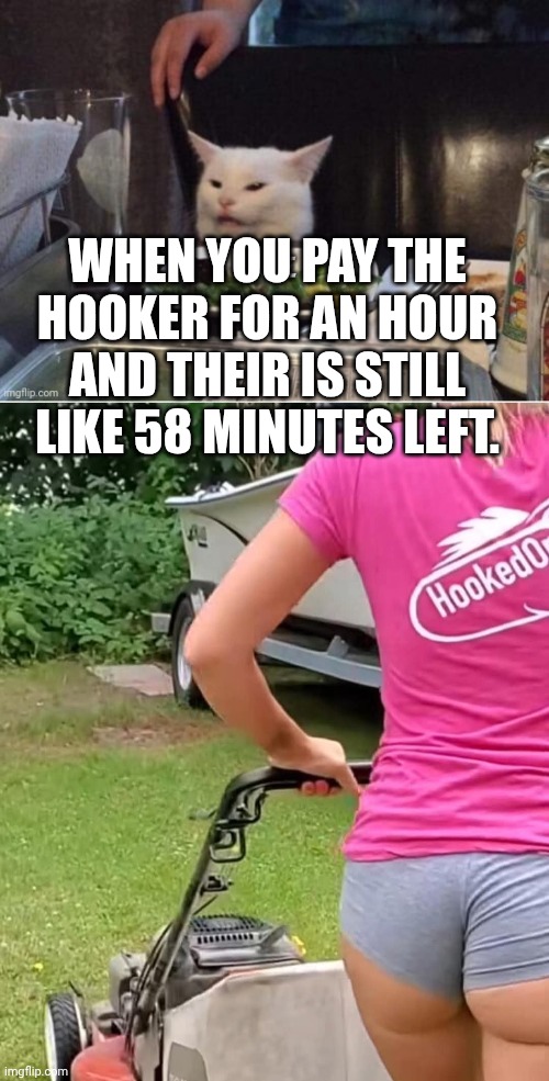 WHEN YOU PAY THE HOOKER FOR AN HOUR AND THEIR IS STILL LIKE 58 MINUTES LEFT. | image tagged in smudge that darn cat | made w/ Imgflip meme maker