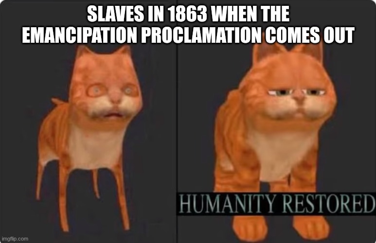 humanity restored | SLAVES IN 1863 WHEN THE EMANCIPATION PROCLAMATION COMES OUT | image tagged in humanity restored | made w/ Imgflip meme maker
