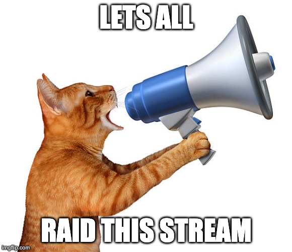 Raid this stream, partners! Time to bushwhack that young’un and lay down some frontier justice with a proper roastin’! | LETS ALL; RAID THIS STREAM | image tagged in cat with megaphone,yeehaw,raid the ragebait stream,let's get'em | made w/ Imgflip meme maker