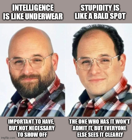 Intelligence and Stupidity | STUPIDITY IS LIKE A BALD SPOT; INTELLIGENCE IS LIKE UNDERWEAR; IMPORTANT TO HAVE, 
BUT NOT NECESSARY
 TO SHOW OFF; THE ONE WHO HAS IT WON’T
ADMIT IT, BUT EVERYONE
 ELSE SEES IT CLEARLY | image tagged in bald or balding | made w/ Imgflip meme maker