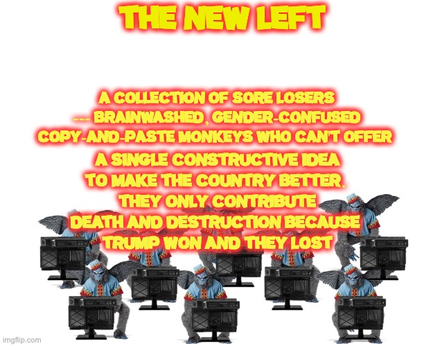 The sad, sorry, pathetic truth | THE NEW LEFT; A COLLECTION OF SORE LOSERS --- BRAINWASHED, GENDER-CONFUSED COPY-AND-PASTE MONKEYS WHO CAN'T OFFER; A SINGLE CONSTRUCTIVE IDEA
 TO MAKE THE COUNTRY BETTER.  
THEY ONLY CONTRIBUTE DEATH AND DESTRUCTION BECAUSE 
TRUMP WON AND THEY LOST | image tagged in democrats,socialists | made w/ Imgflip meme maker