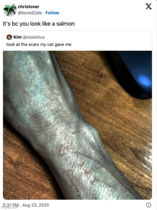 nice | image tagged in memes,funny,oof size large | made w/ Imgflip meme maker