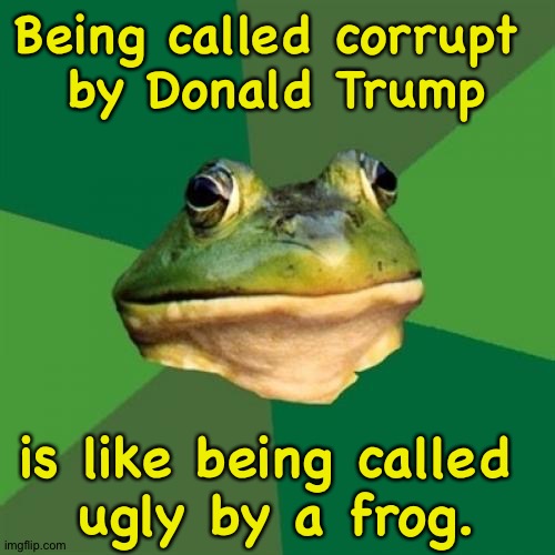 Yep it is | Being called corrupt 
by Donald Trump; is like being called 
ugly by a frog. | image tagged in memes,foul bachelor frog | made w/ Imgflip meme maker