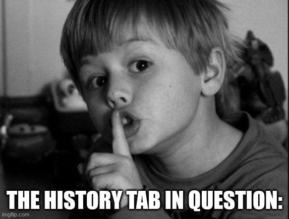 THE HISTORY TAB IN QUESTION: | image tagged in shhhh | made w/ Imgflip meme maker