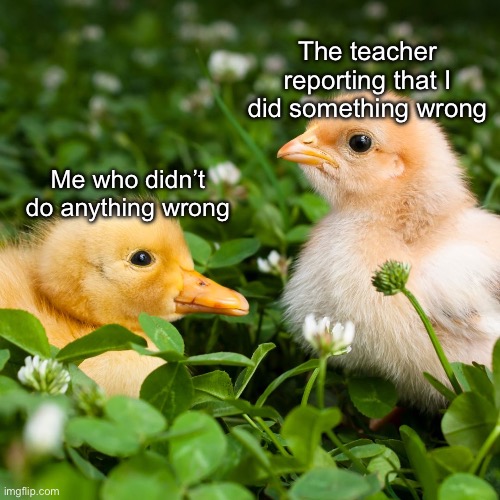 Have you ever been through these times? | The teacher reporting that I did something wrong; Me who didn’t do anything wrong | image tagged in smiling chick frowning chick,school,memes,chicks,relatable,funny animals | made w/ Imgflip meme maker